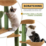 Cat Climbing Frame