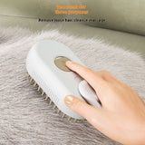 Spray Cleaning Supplies Pet Spray Massage Comb