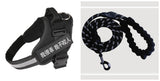 abfd6a6919e803961d6c9e608b947dfd